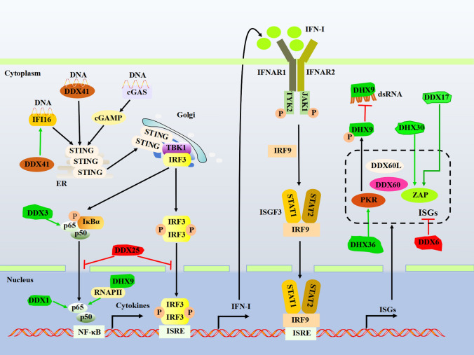 Fig. 3