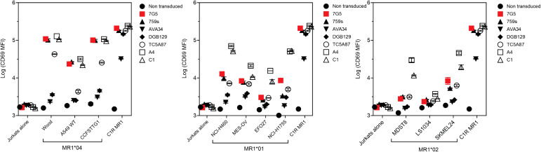 Figure 4