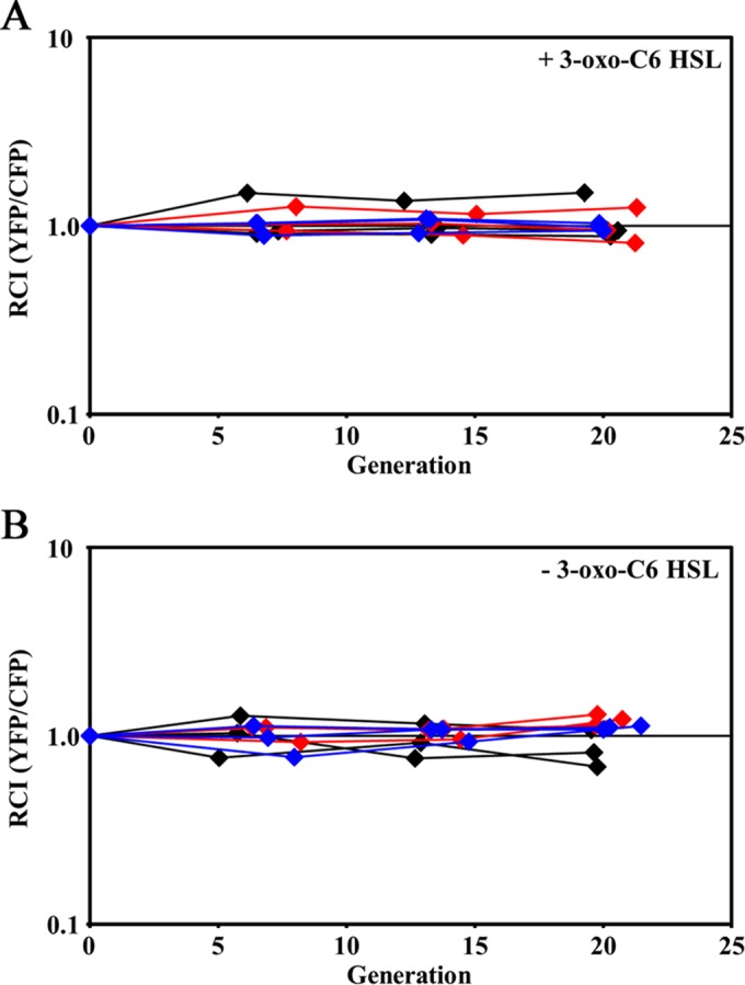 FIG 6