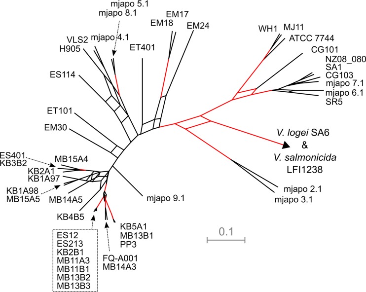 FIG 3