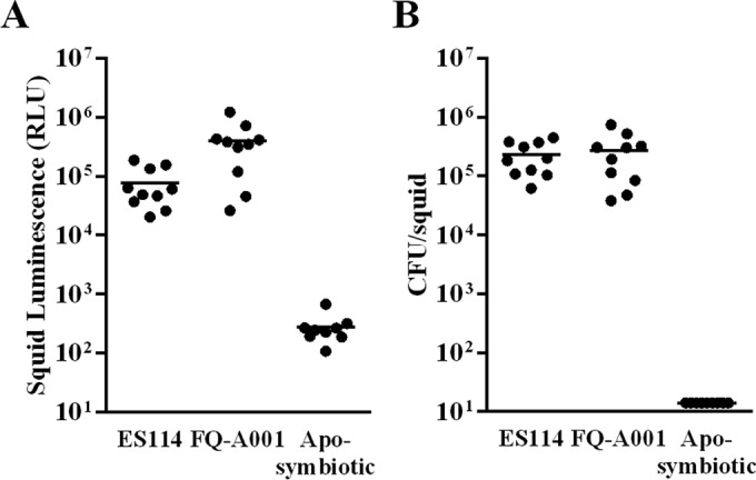 FIG 1