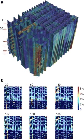 Fig. 7