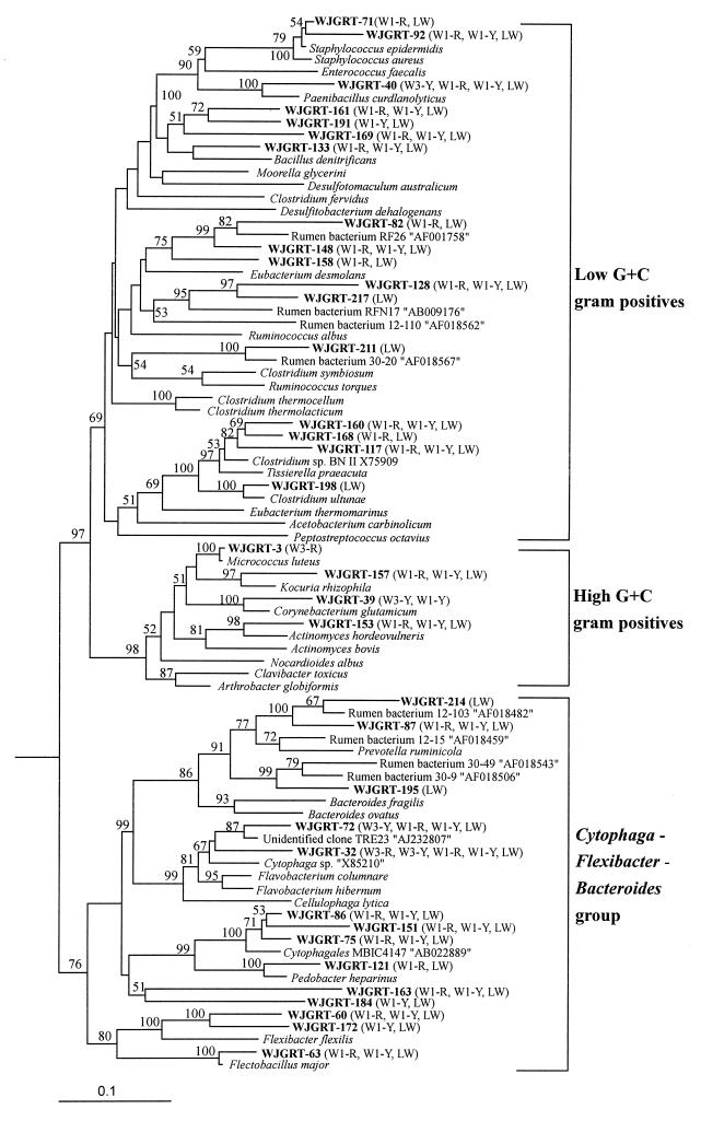 FIG. 5