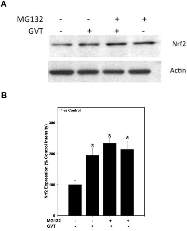 Fig.6