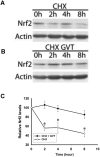 Fig.5