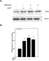 Fig.6
