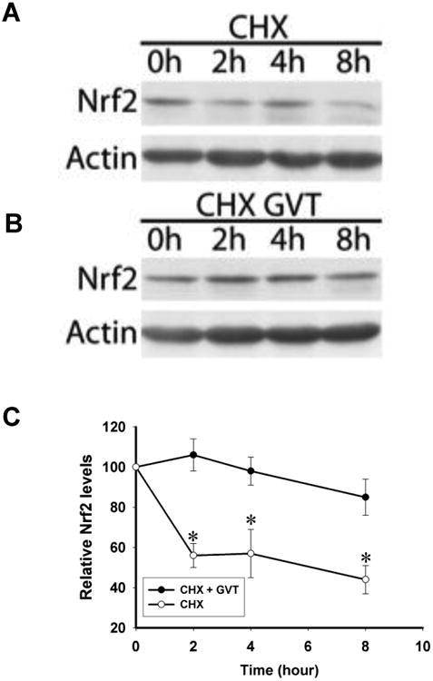 Fig.5