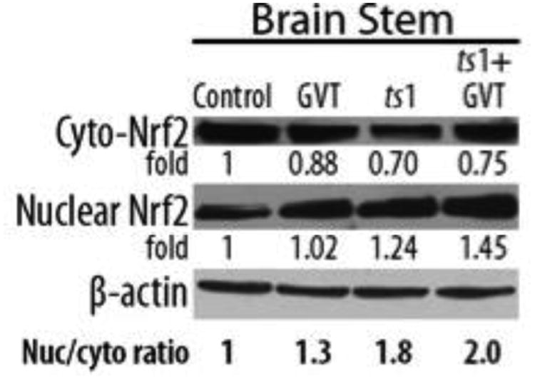 Fig.7