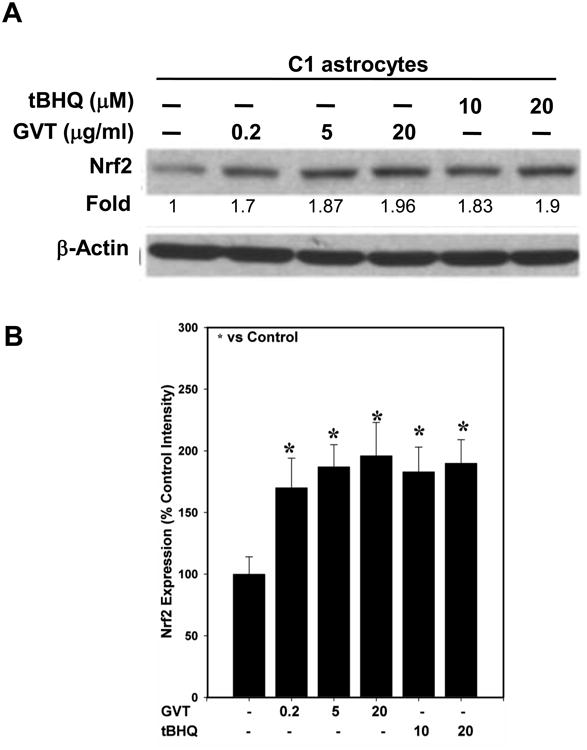 Fig.1