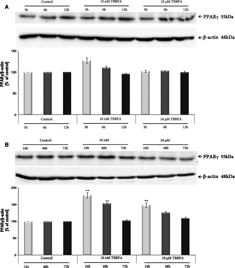 Fig. 6