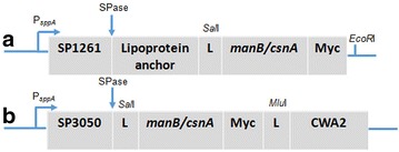 Fig. 1