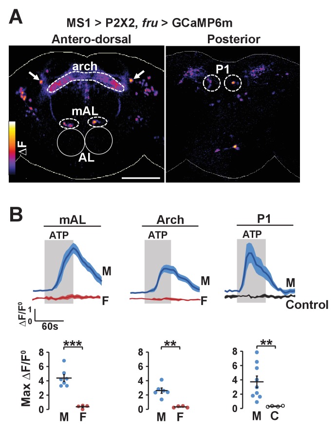 Figure 6.