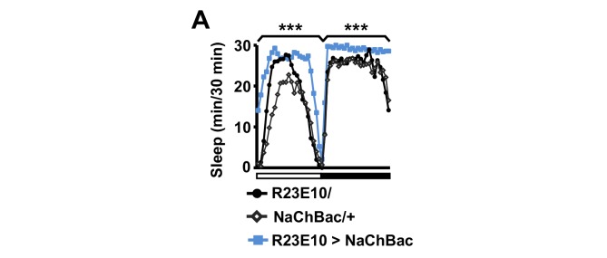 Figure 2—figure supplement 2.