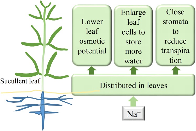 FIGURE 9