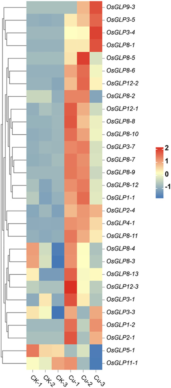 Figure 1