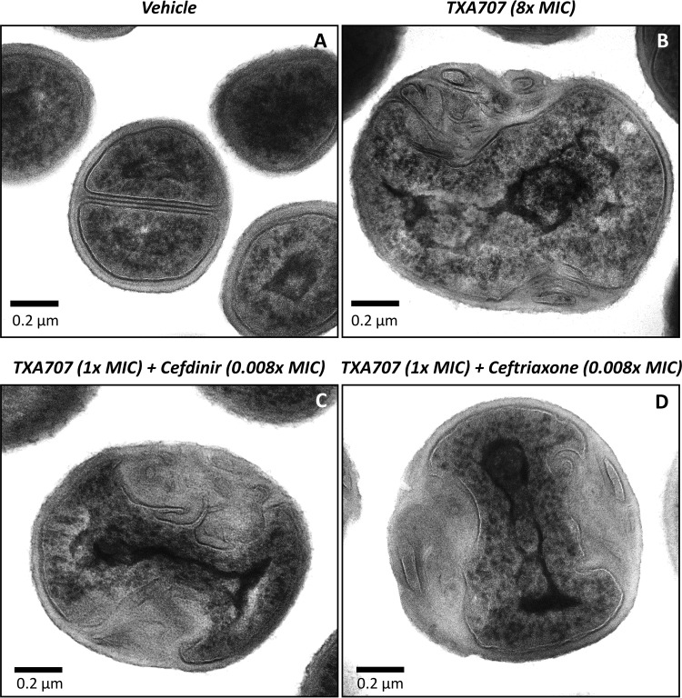 FIG 6