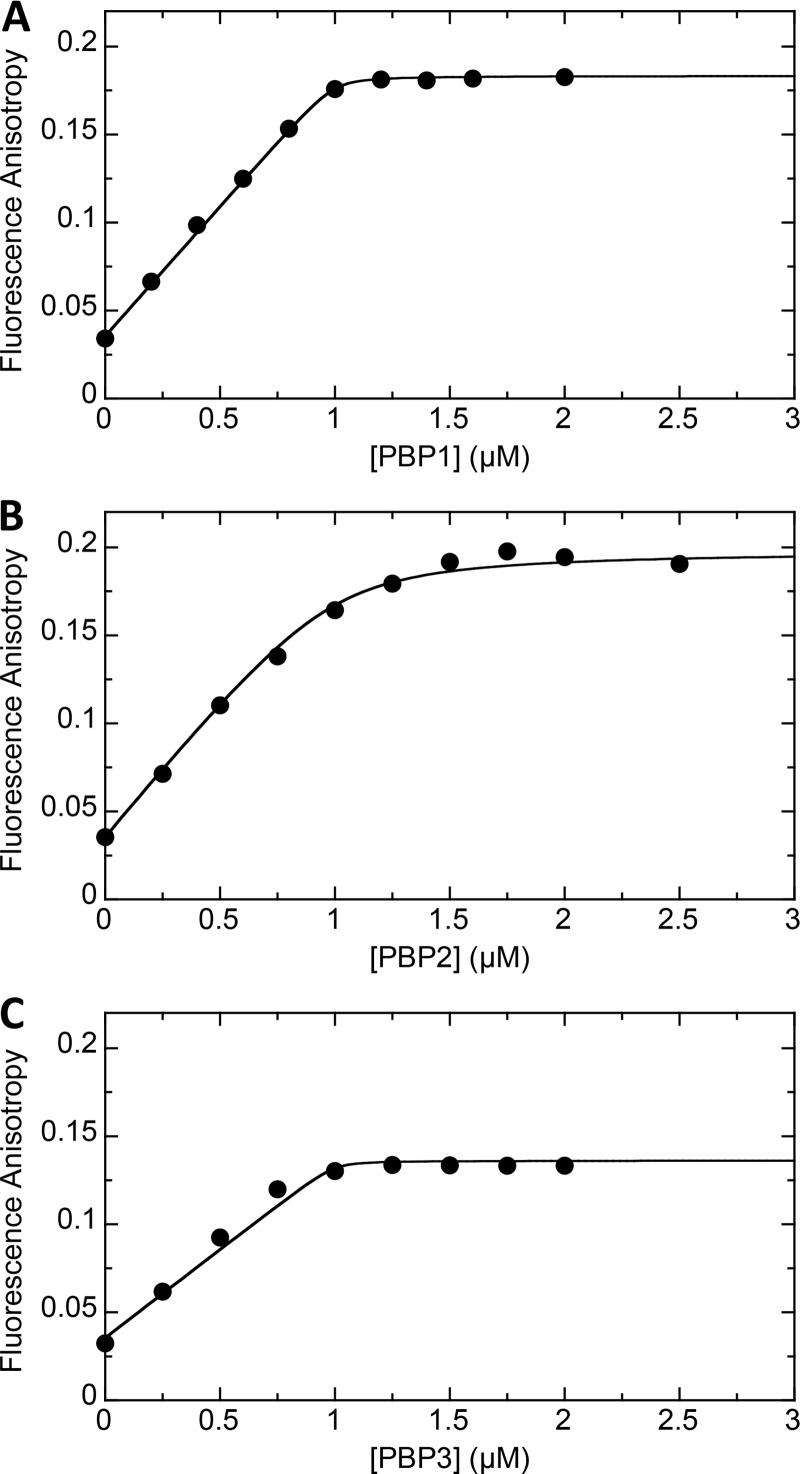 FIG 1