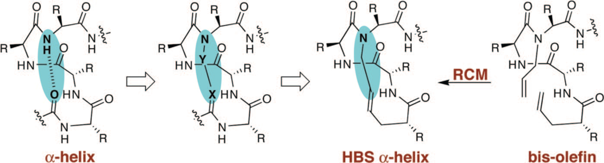 FIGURE 3.