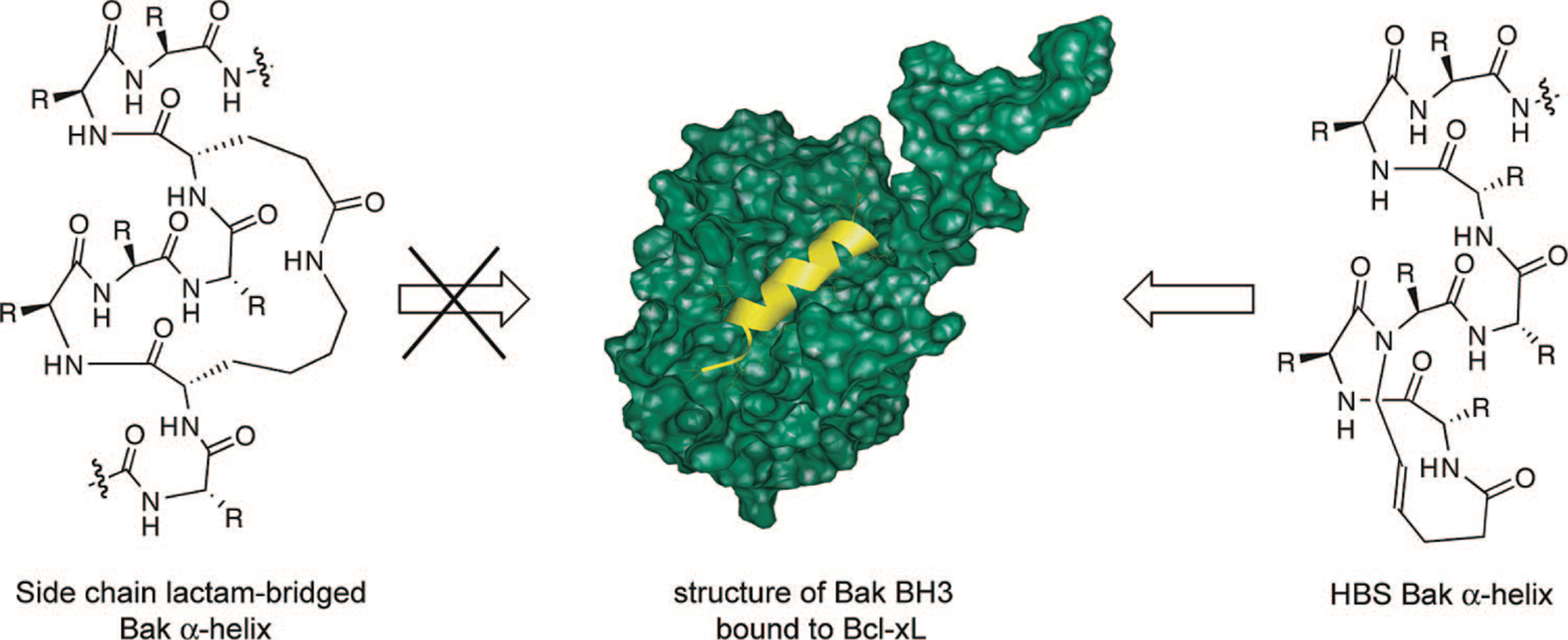 FIGURE 10.