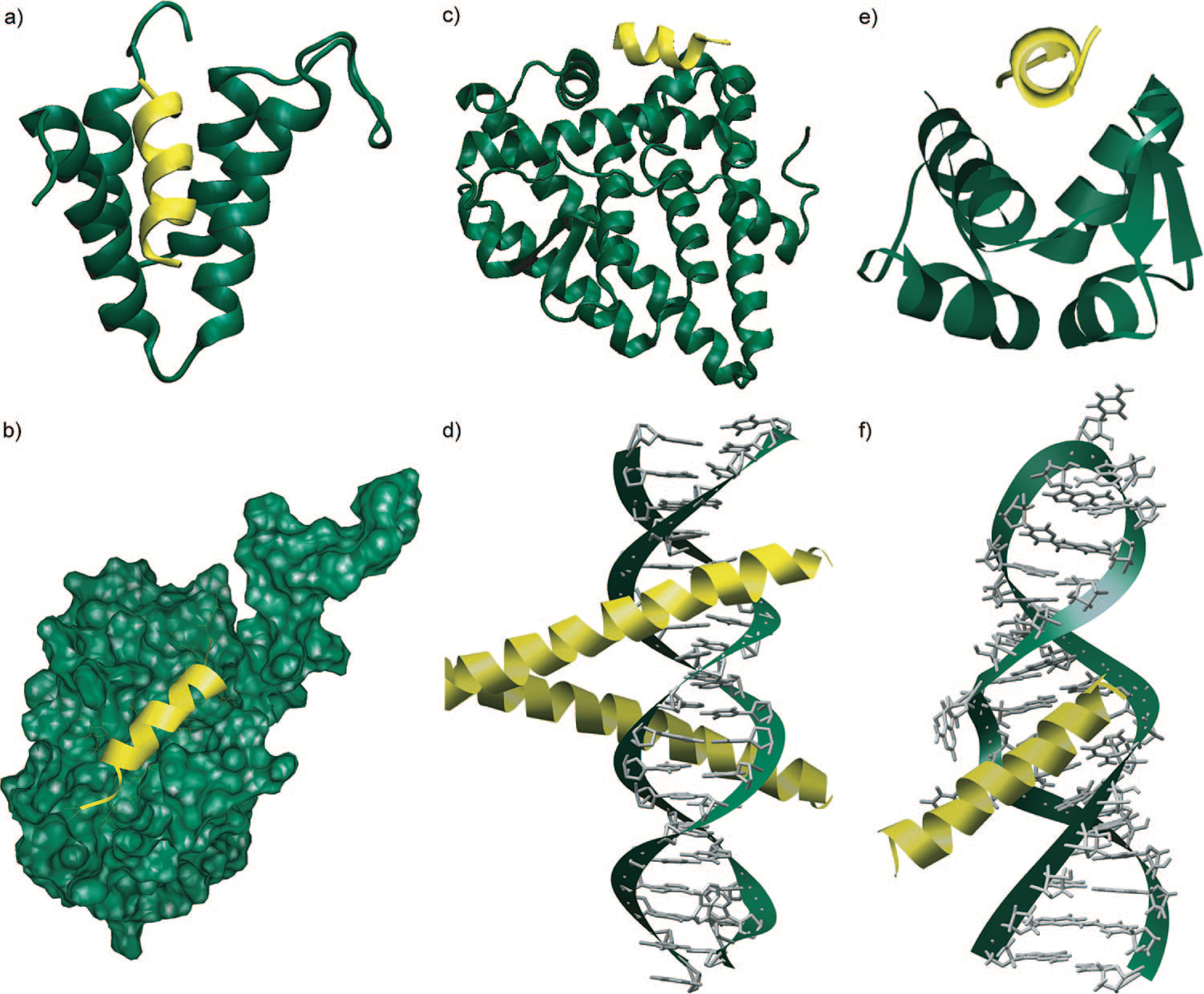 FIGURE 1.