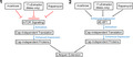 graphic file with name ACEL-20-e13345-g006.jpg