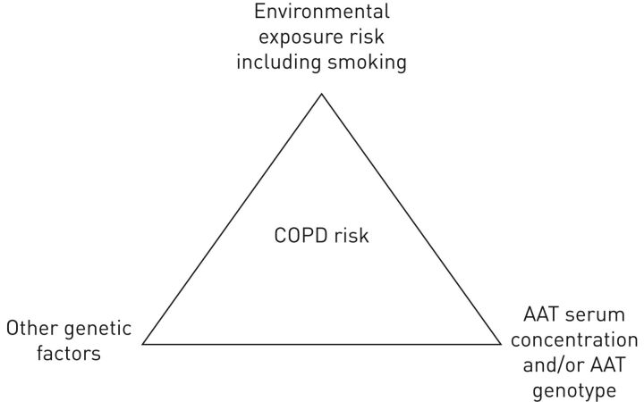 FIGURE 4