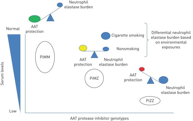 FIGURE 3