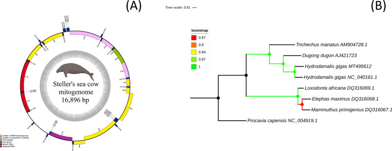 Fig. 3