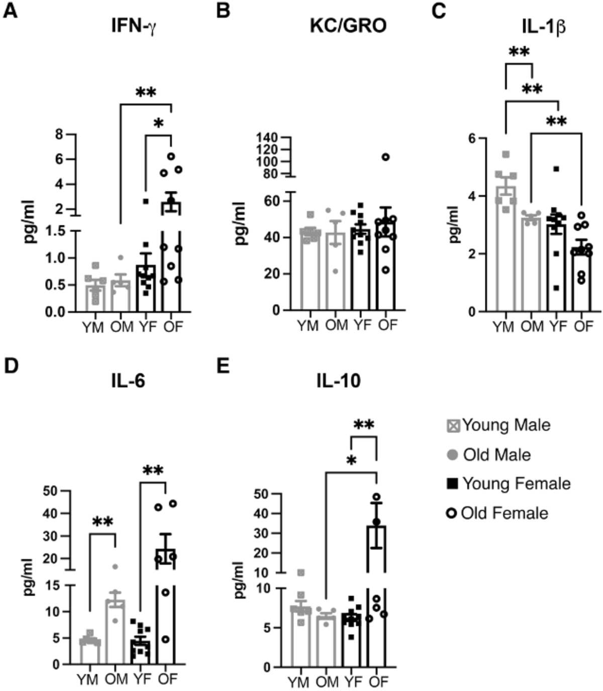 Figure 6.