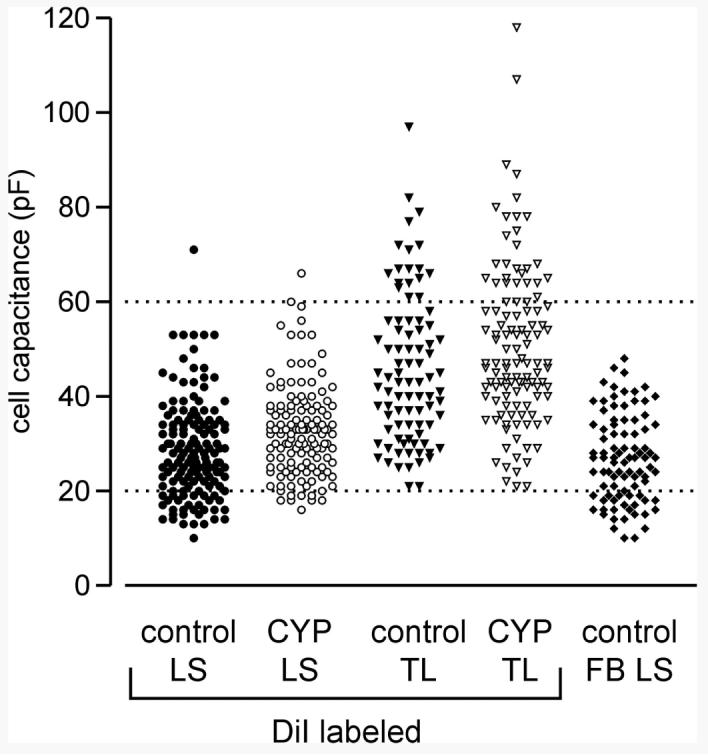 FIG. 1