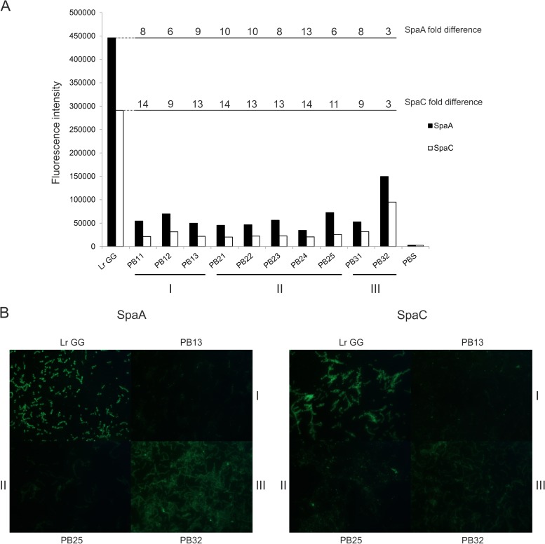 FIG 3