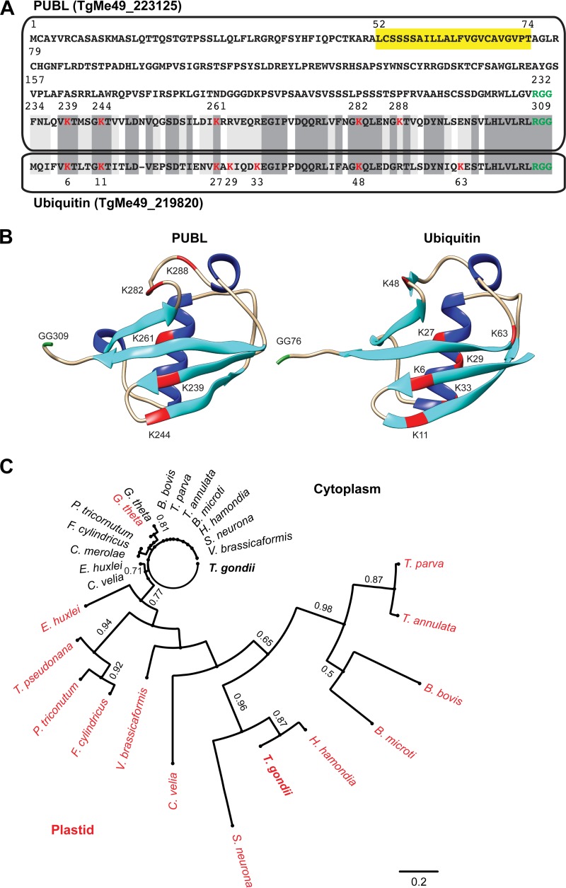 FIG 2 