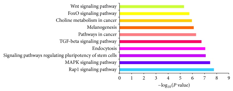 Figure 5