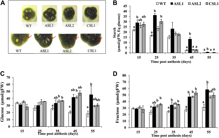 Figure 4.