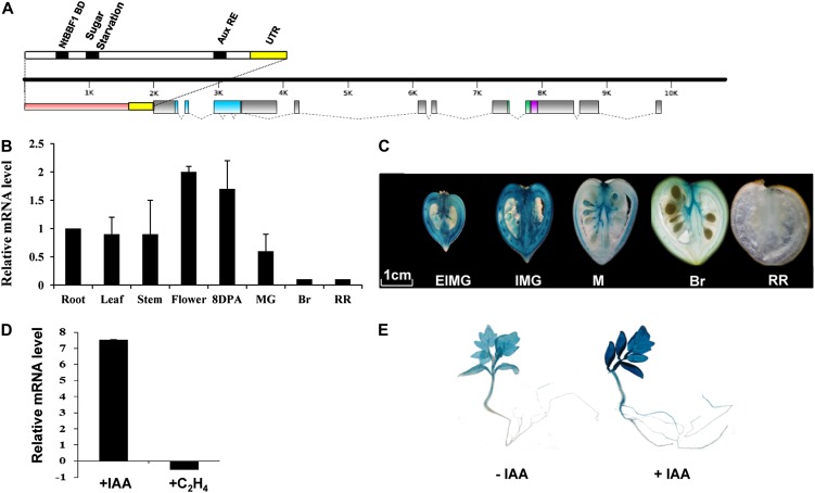 Figure 1.