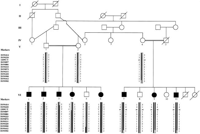 Figure  1