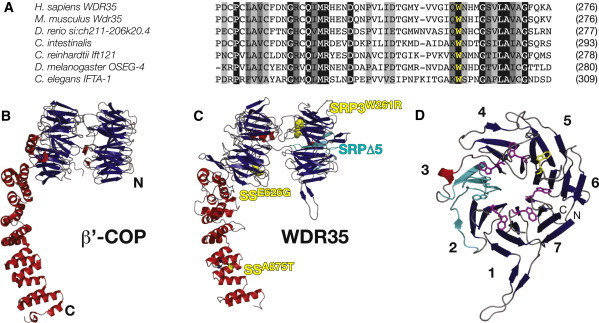 Figure 4