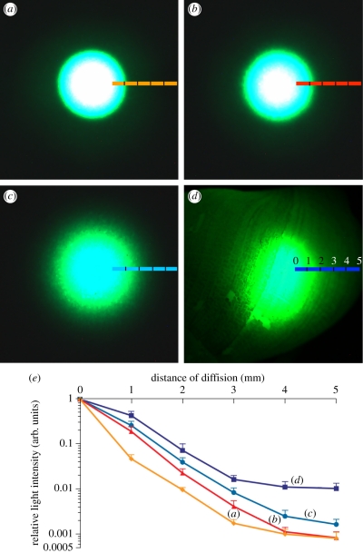 Figure 3.