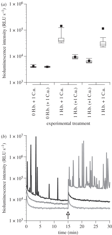 Figure 5.