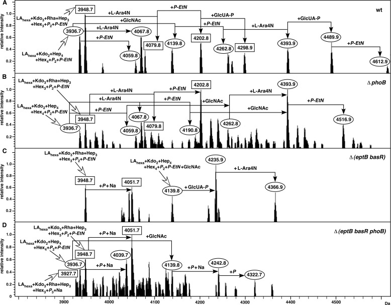 FIGURE 4.