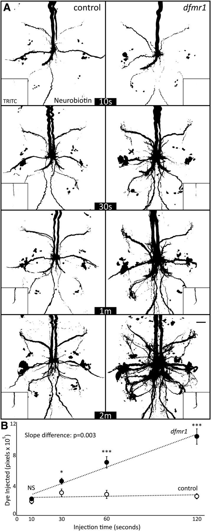 Figure 7.