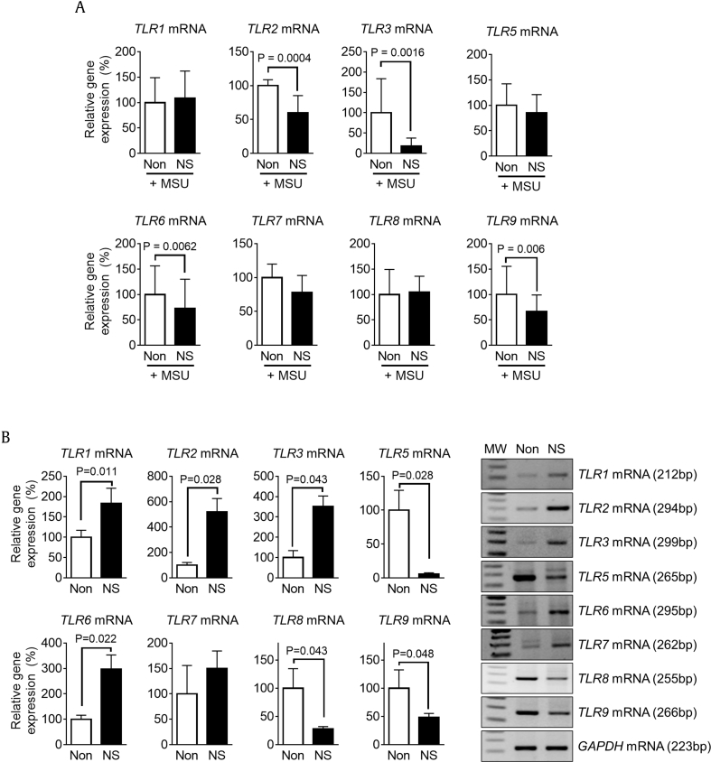 Fig. 6