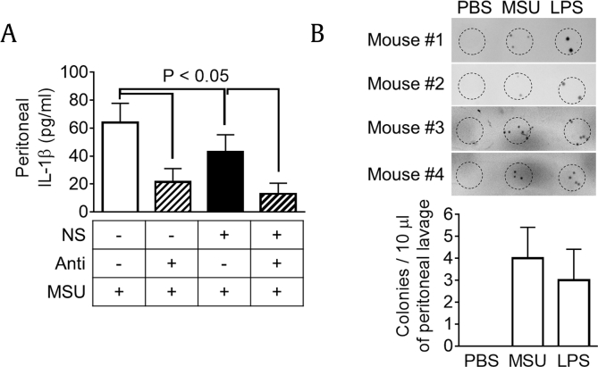 Fig. 4