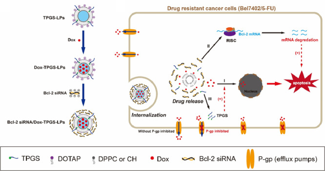 Image, graphical abstract