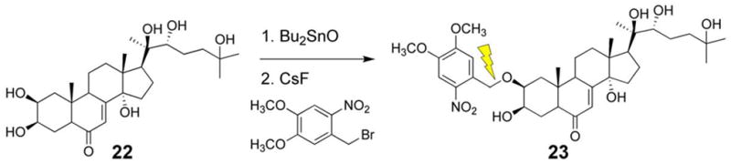 Scheme 5