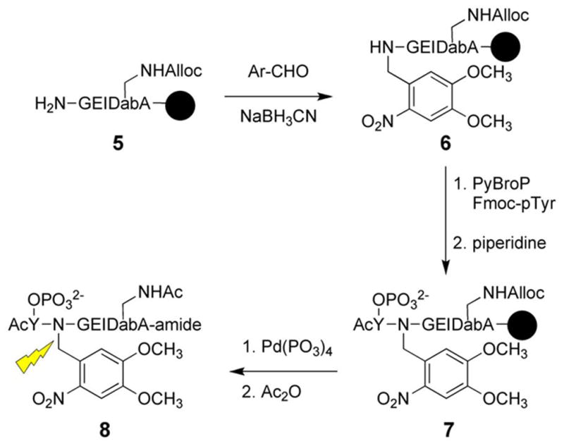 Scheme 3