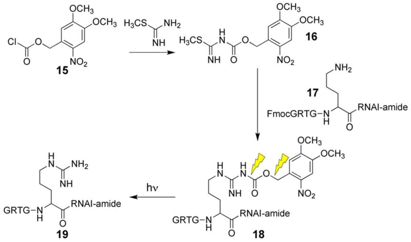 Scheme 4