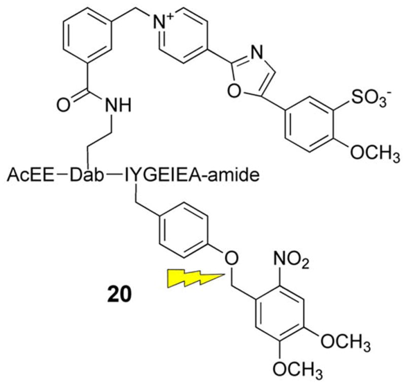 Scheme 4