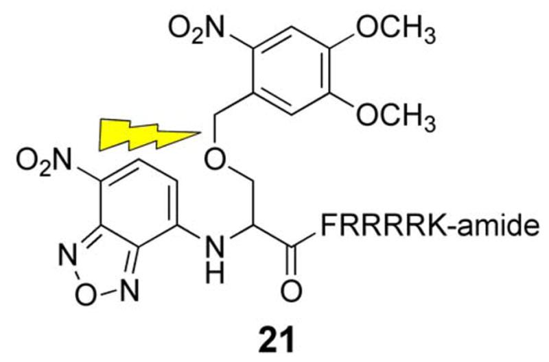 Scheme 4