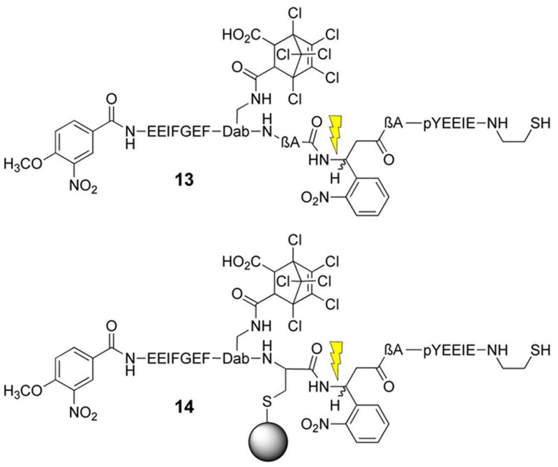 Scheme 3